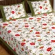 White__Bedsheet Adda